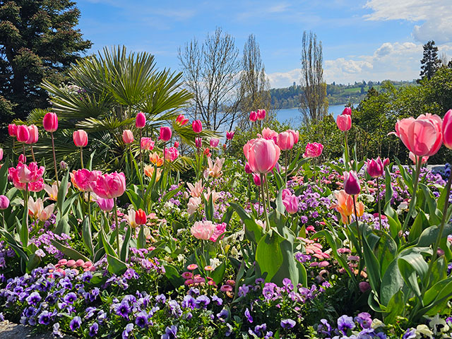 Blumeninsel_Mainau_lokalfuehrer.wien