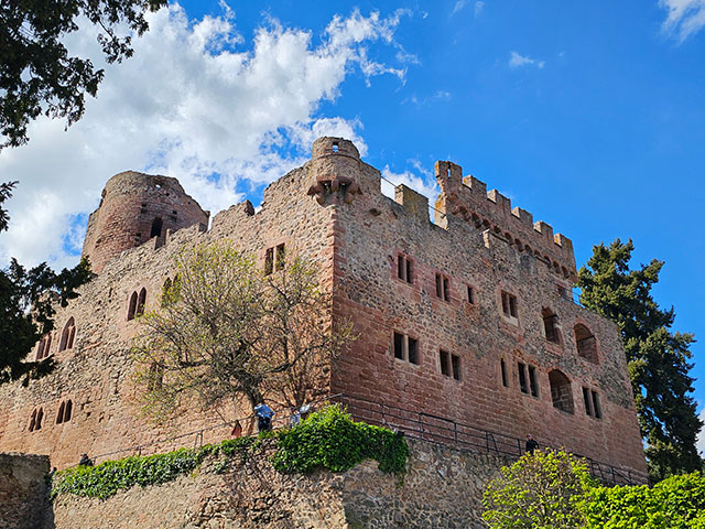 Elsass/Adlerburg_lokalfuehrer.wien