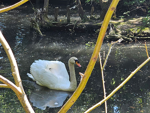 Elsass/naturoparc_lokalfuehrer.wien