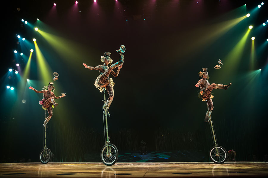 Cirque_du_Soleil_Totem_lokalfuehrer.wien