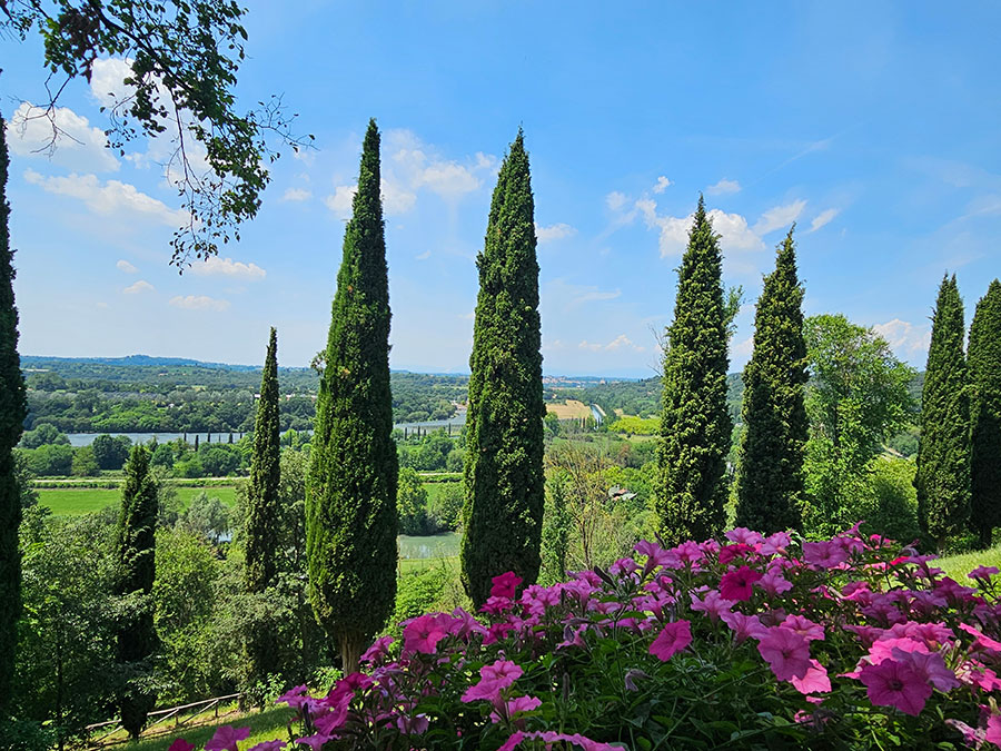 norditalien/sigurta_lokalfuehrer.wien