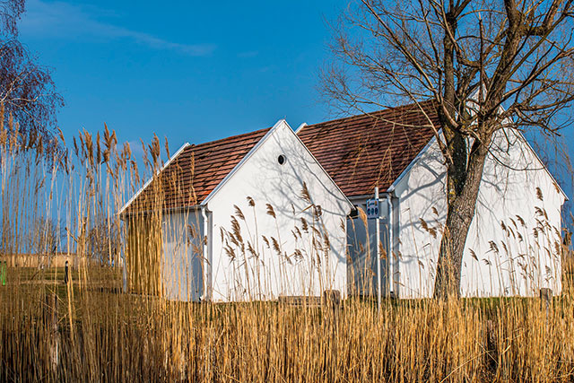 Burgenland Seewinkel_lokalfuehrer.wien