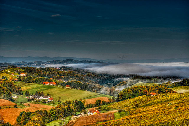 Steiermark Weinberge_lokalfuehrer.wien